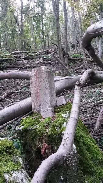 A tavalyi vértesi jégkár - nem csak a fák dőltek