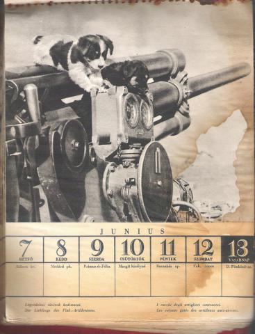 Doni naptár 1943 június