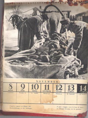 Doni naptár 1943 november 1