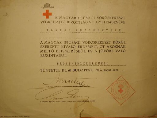Ifjusági Vöröskereszt adományozó