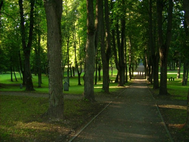 világháborús temető Vilniusban